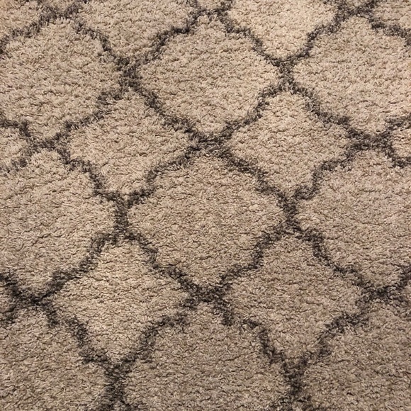 Shag Rug 4X6 in GREAT condition. - Picture 3 of 3